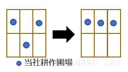 圃場の集積化